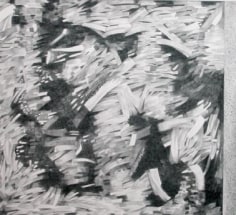 Judith Murray, Ea, 2006, Graphite on arches paper, 22.5 x 30"