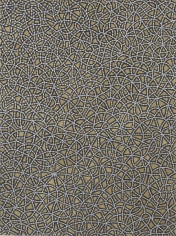 Anil Revri,  Fractal VII , 2006, Mixed media on canvas, 24 x 18&quot;