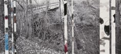, Ardennes Uncovered: Memory, 2014, one photograph, seven drawings, 10.75 x 23.75 inches/27 x 60 cm
