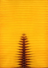 Sohan Qadri, Arti II, 2005, Ink & dye on paper, 55 x 39"