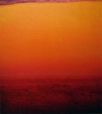 Joan Vennum, Between Delhi and Lahore, 2007, oil on canvas, 53 x 48 inches