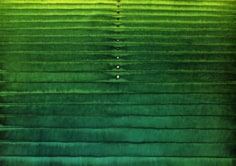 Sohan Qadri, Anshula II, 2003, Ink & dye on paper, 39 x 55"