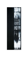Ricardo Mazal ODENWALD 1152 N.19	2008	Oil on linen	98.5 x 33"