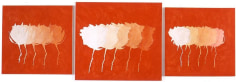 A Rose Is A Rose (Wonder), 2009, acrylic on canvas, 47 x 138 inches/119.4 x 350.5 cm