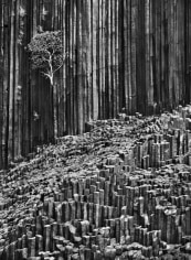 Sebasti&atilde;o Salgado, Basaltic organ pipes on Mitsio Island, Madagascar, 2010, gelatin silver print, 88.9 x 61 cm (35 x 24 inches)
