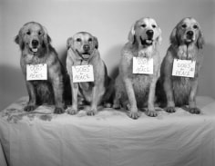 Dogs for Peace, Filming &quot;A Letter to True&quot;, Golden Beach, Florida, 2003, Silver Gelatin Photograph, Edition of 20