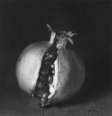 Con corona, M&eacute;xico, 2000, 14 x 11 Silver Gelatin Photograph