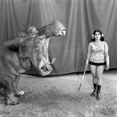 Hippopotamus and Performer, Great Raynow Circus, Madras, India, 1989, 16 x 20 Silver Gelatin Photograph, Ed. 25