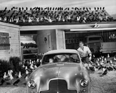 &quot;The Birds,&quot; Rod Taylor (Tippi Hedren, Jessica Tandy, and Veronica Cartwright in car), 1963, 16 x 20 Archival Pigment Print, Ed. 10