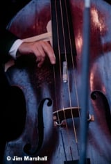 Hands on Double Bass, 1960, 11 x 14 Ultrachrome Pigment Print