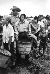 Migrant Family in Field, Migrant Workers, Arkansas, 1961, Silver Gelatin Photograph