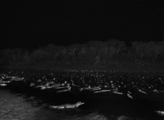Yacare caimans in Pantanal, a tropical wetland, one of the world&#039;s largest wetland of any kind, State of Mato Grosso, Brazil 2011, 16 x 20 inches, Silver Gelatin Photograph