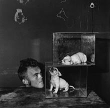 Puppies in Fishtanks, 2000, Silver Gelatin Photograph