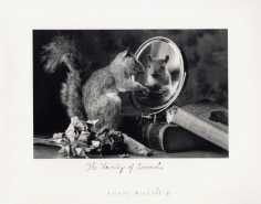 The Vanity of Animals, 2004, 11 x 14 Silver Gelatin Photograph, Ed. 25