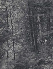 Billie and True on the way to Bear Pond, Adirondacks, New York, 2005, Silver Gelatin Photograph, Edition of 20