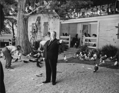 Alfred Hitchcock, &quot;The Birds&quot;, 1963, 16 x 20 Archival Pigment Print, Ed. 10