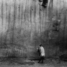 Hanging Pig, 2001, Silver Gelatin Photograph