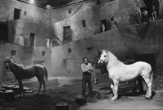 Readying the Horses for the Next Take, Fellini&#039;s Satyricon, Rome, Italy, 1969, 16 x 20 Silver Gelatin Photograph, Ed. 25
