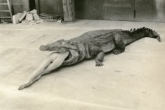 (The Legend of Virginity), Wuppertal, n.d., Platinum Palladium Photograph