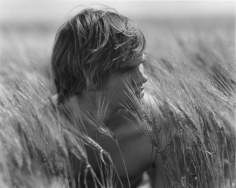 Grant Drowning in Wheat, Prince Edward Island, 2005, Silver Gelatin Photograph, Edition of 25