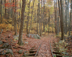 Stephen Johnson Railroad Tracks and Trees, Blue Ridge Parkway, 1994