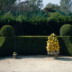 Two Amounts of Lemons, 1992, Archival Pigment Print, Combined Edition of 25