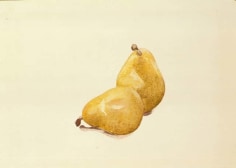 Charles Demuth (1883-1935), Pears, circa 1929