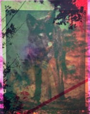 Abstract green and red with fox