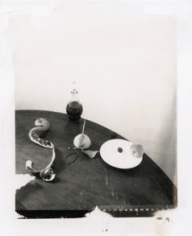 Laura Letinsky,  Untitled, 2001, from the series Time's Assignation, 2001,  Polaroid,  4 1/2h x 3 1/2w in, Unique, Photography