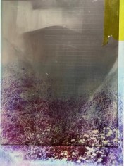 Abstract suggestion of a house or structure. Magenta florals in the foreground.