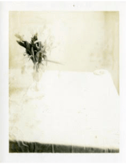 Laura Letinsky,  Untitled, 2002, from the series Time's Assignation, 2002,  Polaroid,  4 1/2h x 3 1/2w in, Unique, Photography