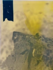 Rock with tiny fungi sprouting out. Black rectangle in the upper left hand corner with a yellow filter over the photograph