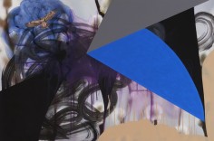 Red-Tailed Hawk, 2015