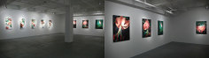 Tale of Life, Installation view