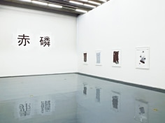 Phosphorous Red:Installation view
