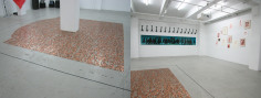 Hong Lei&#039;s Narrative: An Alternative Beauty, Installation view