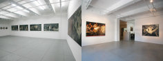 Intersection: Contemporary Oil Painting &amp;amp; Photography, Installation view