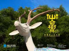Wu Jian'an and Wang Tianwen: In The Mythical Forest