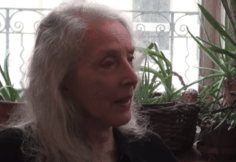 Joan Semmel interview (2013)