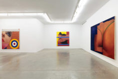 Paintings from the 80&#039;s,&nbsp;Andrew Kreps Gallery, New York, March 29 - May 12, 2012