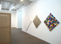 Heimo Zobernig, Petzel Gallery, 2008  Installation view