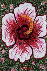 Joy (Hibiscus) (Garden-La Fleur du Cap), 2011 - 4196