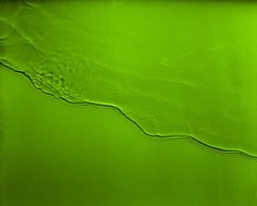 Han Nguyen, Flow #14, 2006, chromogenic print, 20 x 24 inches