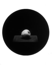 John Priola Apple from the series Paradise, 1993, gelatin silver print