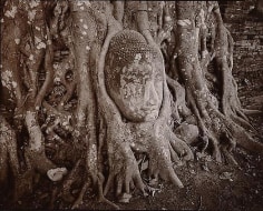 Entwined Buddha, Ayutthaya, Thailand, 1988, 