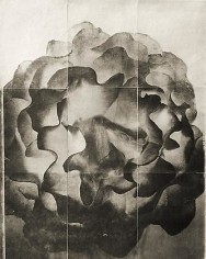 Rose, from the series &quot;Reconstructions,&quot;platinum palladium print on handmade Japanese gampi, sewn on Japanese washi