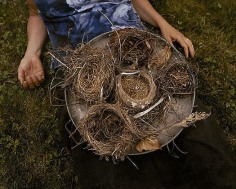 Virginia Beahan, Nests from my Mother&#039;s Garden, Yardley, PA, 2004, 