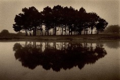 Sea Ranch Links, Sepia toned gelatin silver print, 5 x 7 inches