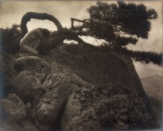 The Lone Pine, 1908