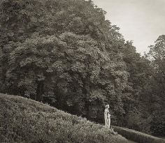 Hillside, Waddesdon Manor, from the series In the Garden, 2004, platinum print, 16 x 18 1/2 inches